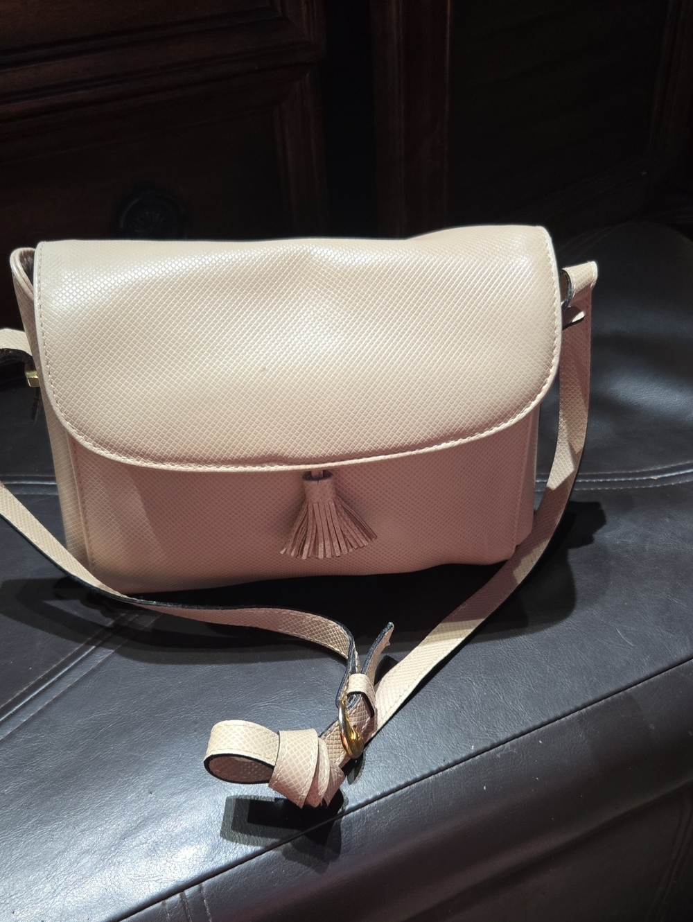 Bottega Veneta Pale Pink Crossbody Bag with Tassel